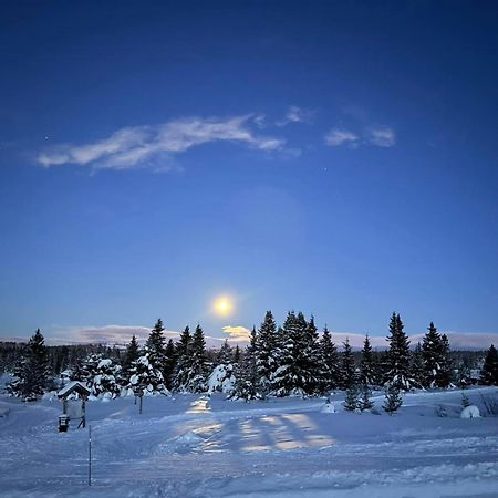 Nordseter Fjellpark, Hyttegrend Exteriör bild