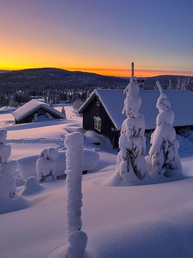 Nordseter Fjellpark, Hyttegrend Rum bild